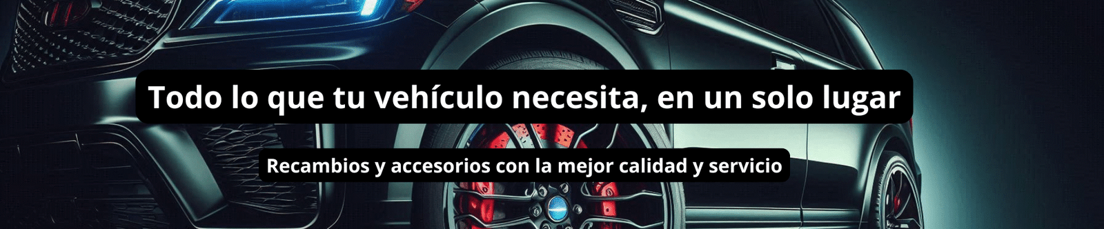 electronicadevehiculos.com